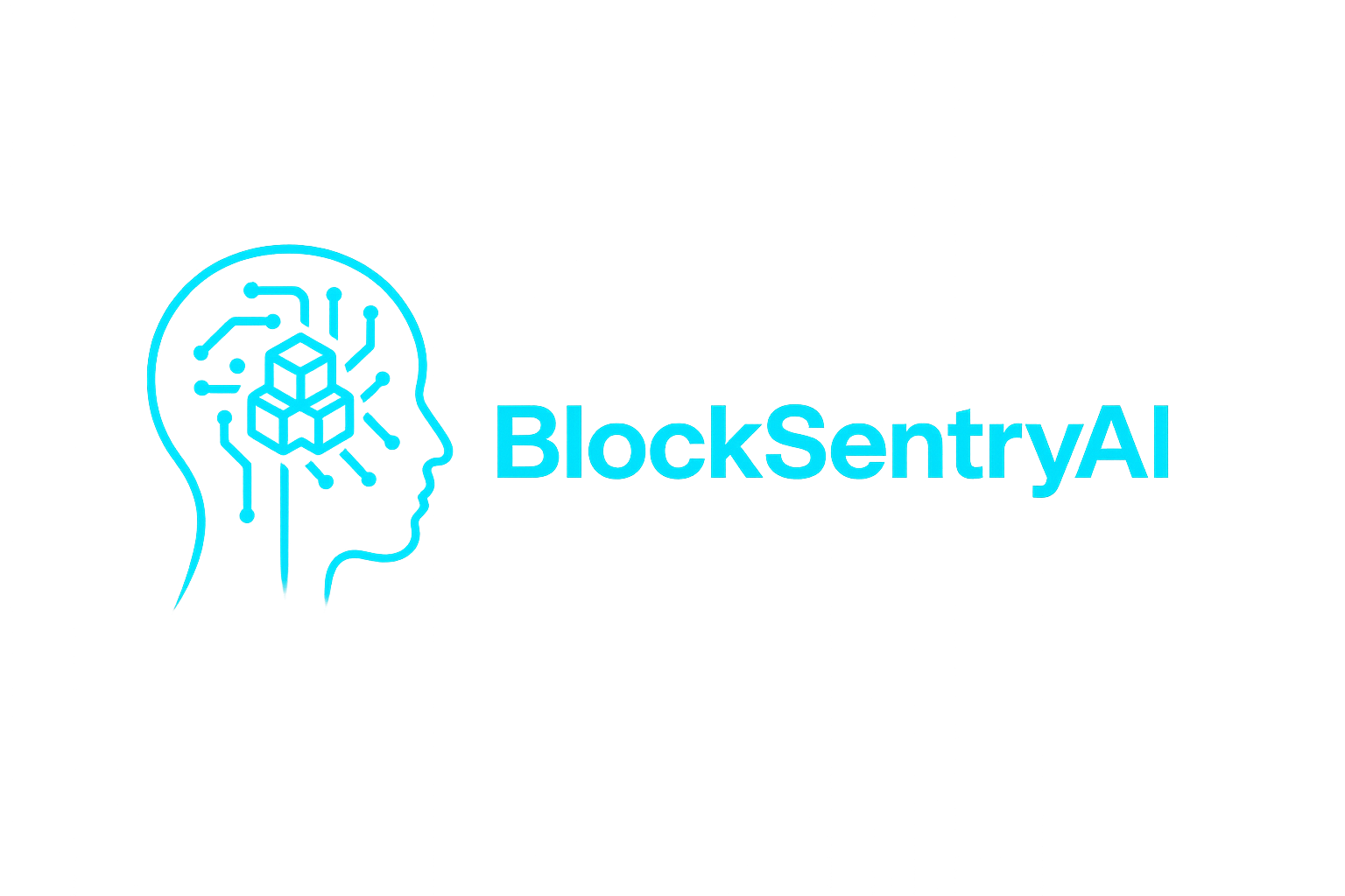 BlockSentryAI Logo